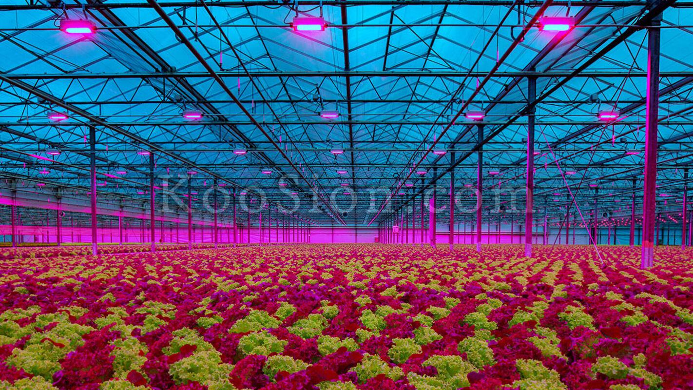 water-cooled-led-grow-lights-s1680x800.jpg