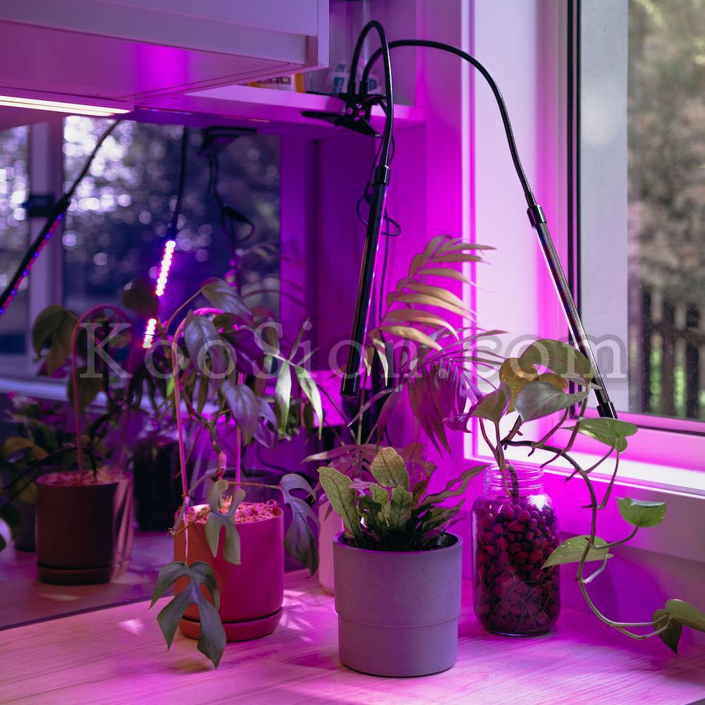 easygro-led-grow-light-home-garden-urbanplantgrowerscom-2_210250a7-4647-40e2-b6c7-5a59a5e46e1e_2000x.jpg